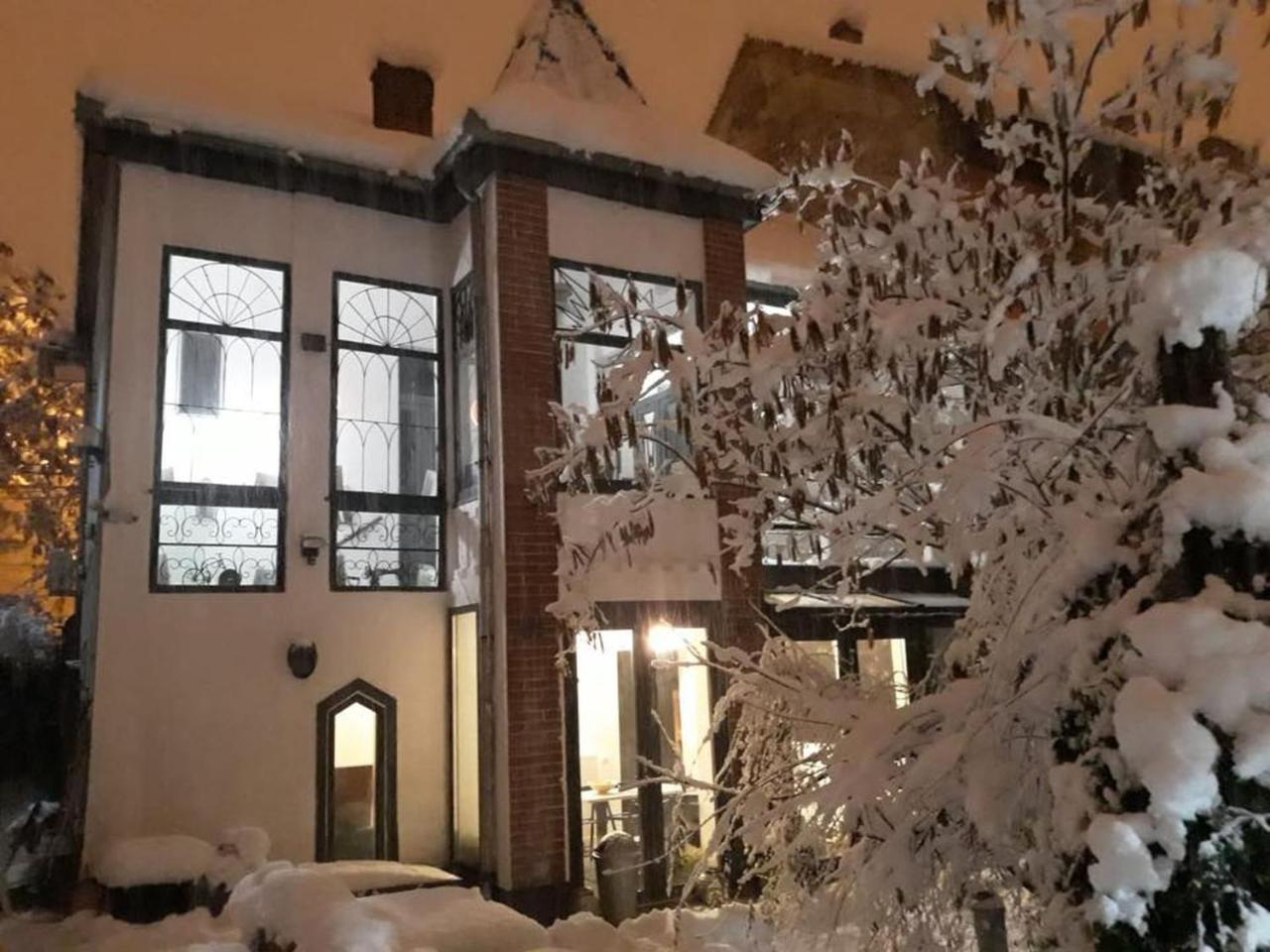 טימישוארה Passpartout Hostel מראה חיצוני תמונה